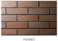 Building House Clay Exterior Brick Cladding Sintered / Extrusion